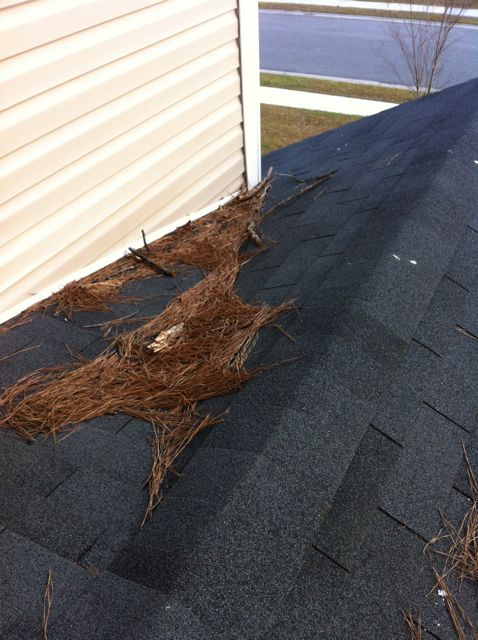 design-flaw-roof-drainage-valley.jpg Roof sloping down toward a wall