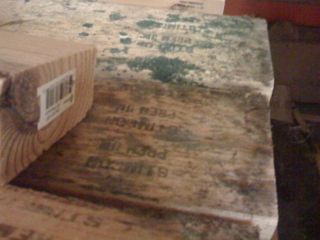 moisture management mold on lumber indoor air quality asthma